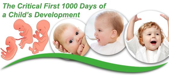 The Critical First 1000 Days of a Child’s Development