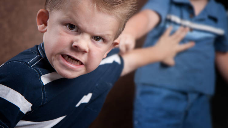 Insufficient Iron and Vitamin B12 Linked to Aggression in Boys
